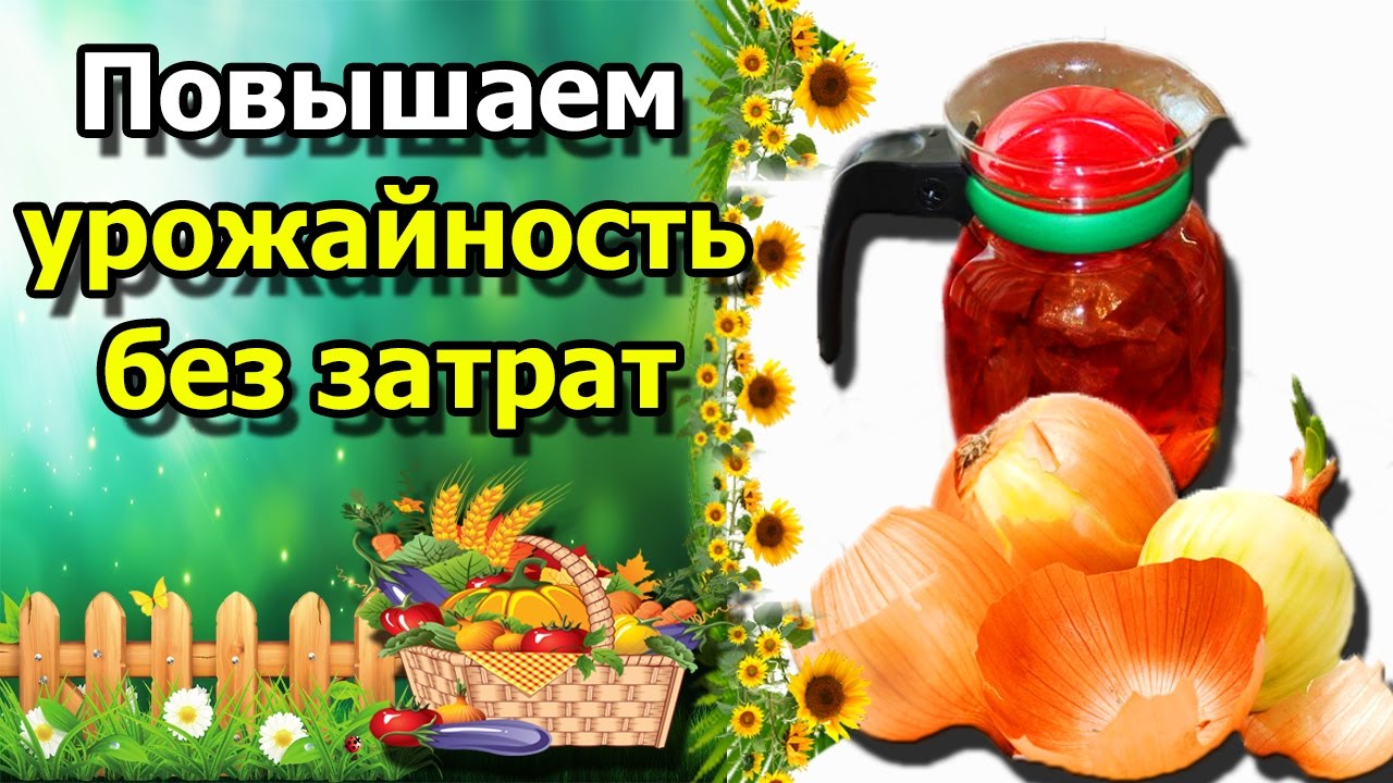 Нажмите, чтобы запустить видео