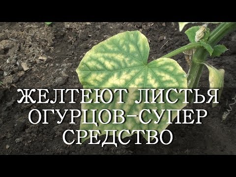 Нажмите, чтобы запустить видео