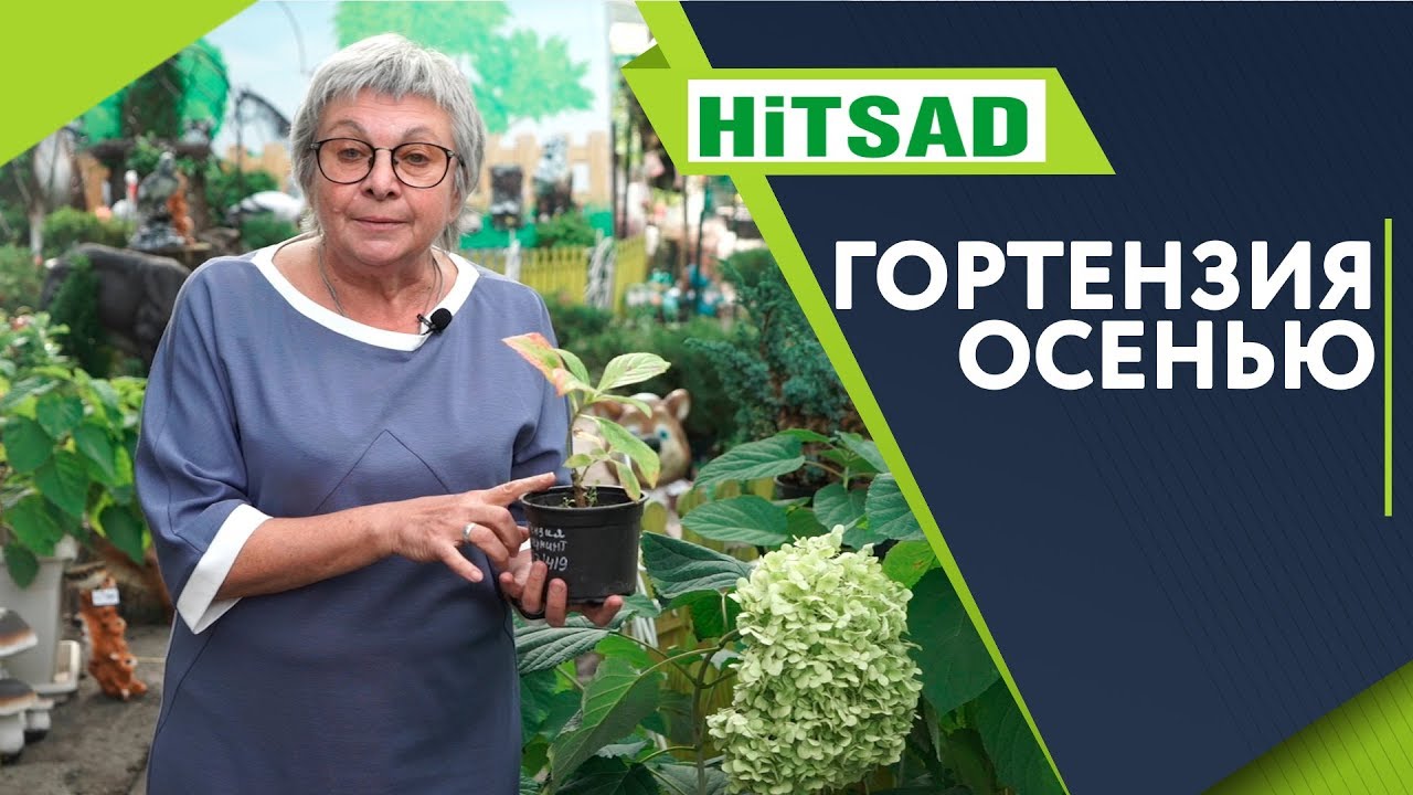 Нажмите, чтобы запустить видео