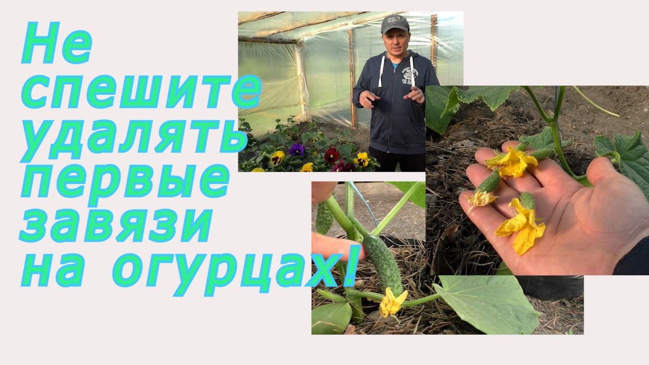 Нажмите, чтобы запустить видео