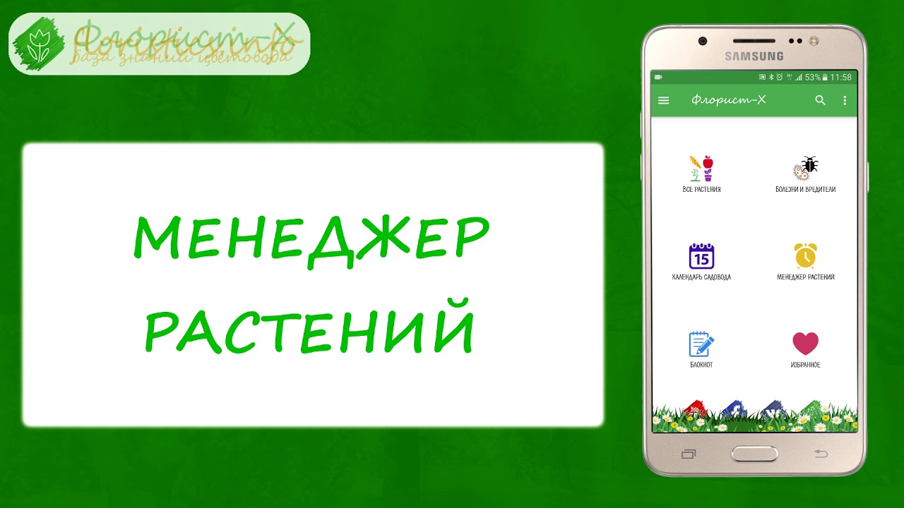 Нажмите, чтобы запустить видео