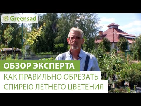 Нажмите, чтобы запустить видео