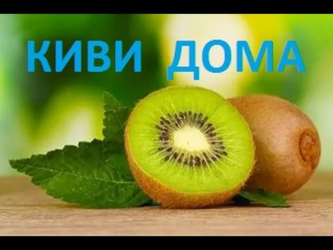 Нажмите, чтобы запустить видео