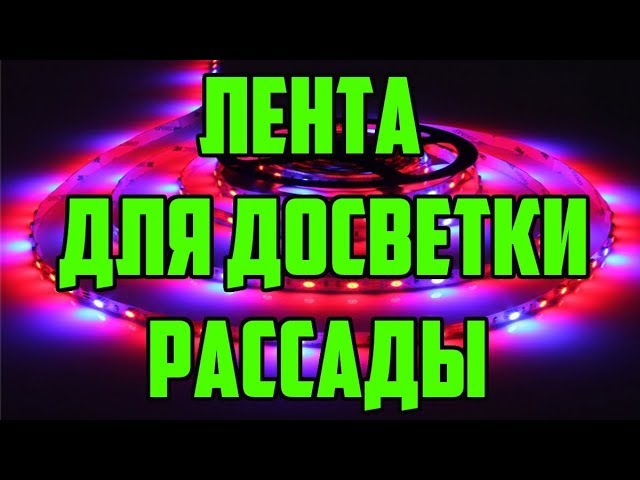 Нажмите, чтобы запустить видео