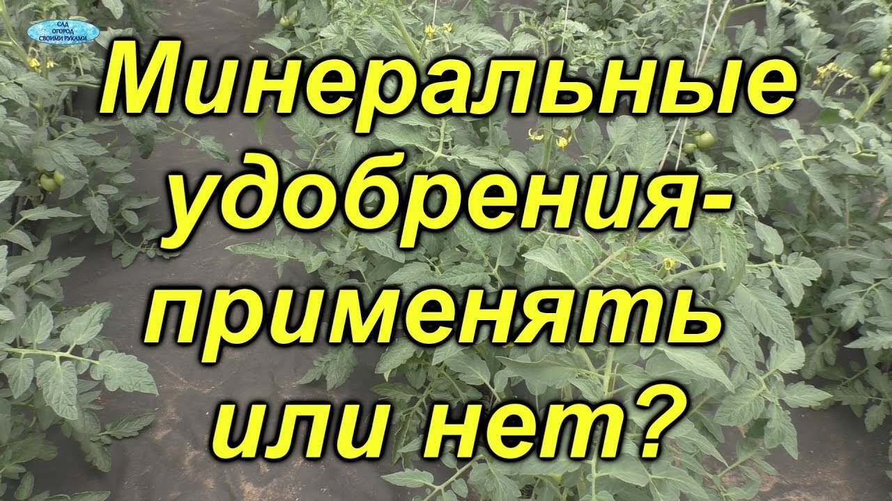 Нажмите, чтобы запустить видео