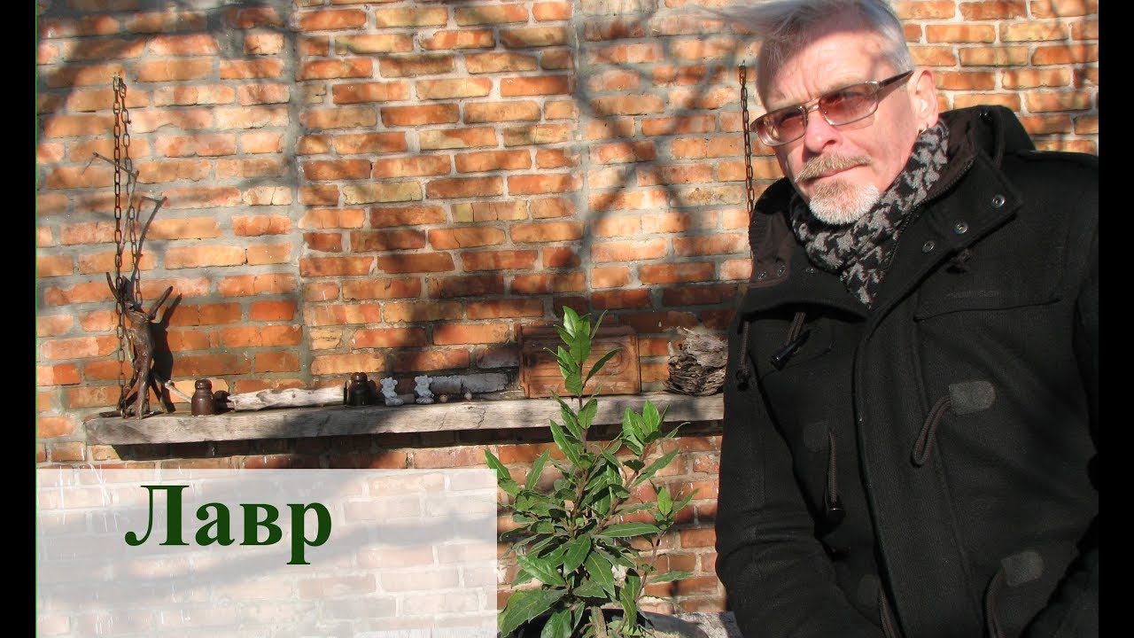 Нажмите, чтобы запустить видео
