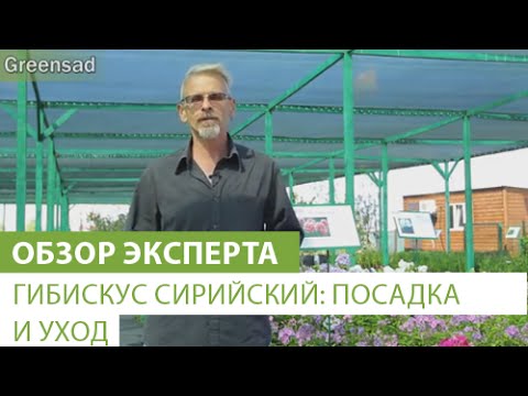 Нажмите, чтобы запустить видео