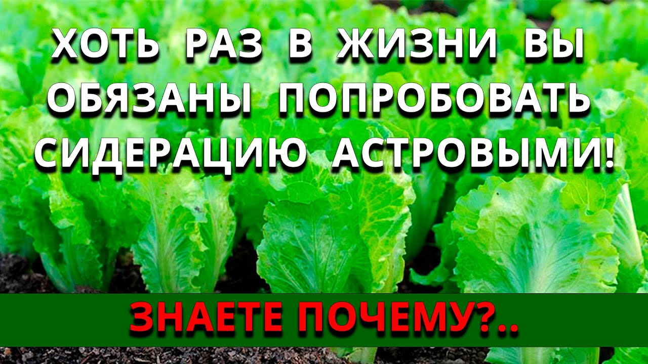 Нажмите, чтобы запустить видео