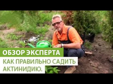 Нажмите, чтобы запустить видео
