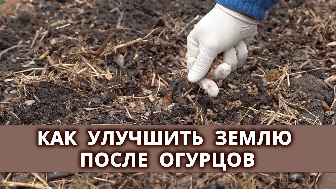 Нажмите, чтобы запустить видео