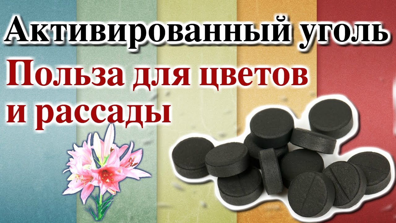 Нажмите, чтобы запустить видео