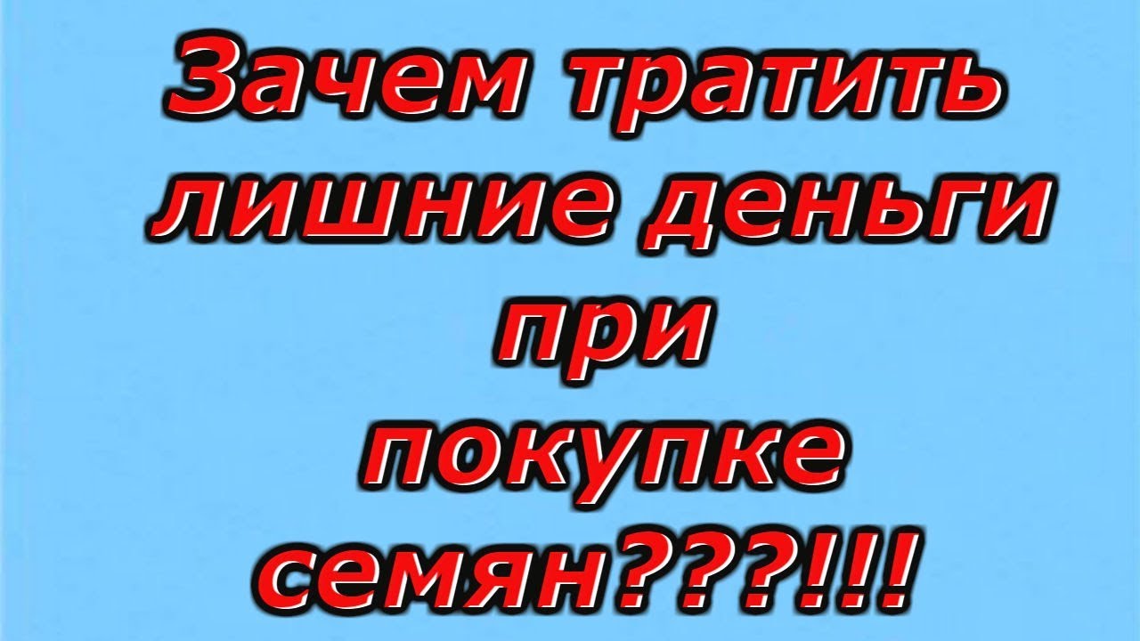 Нажмите, чтобы запустить видео