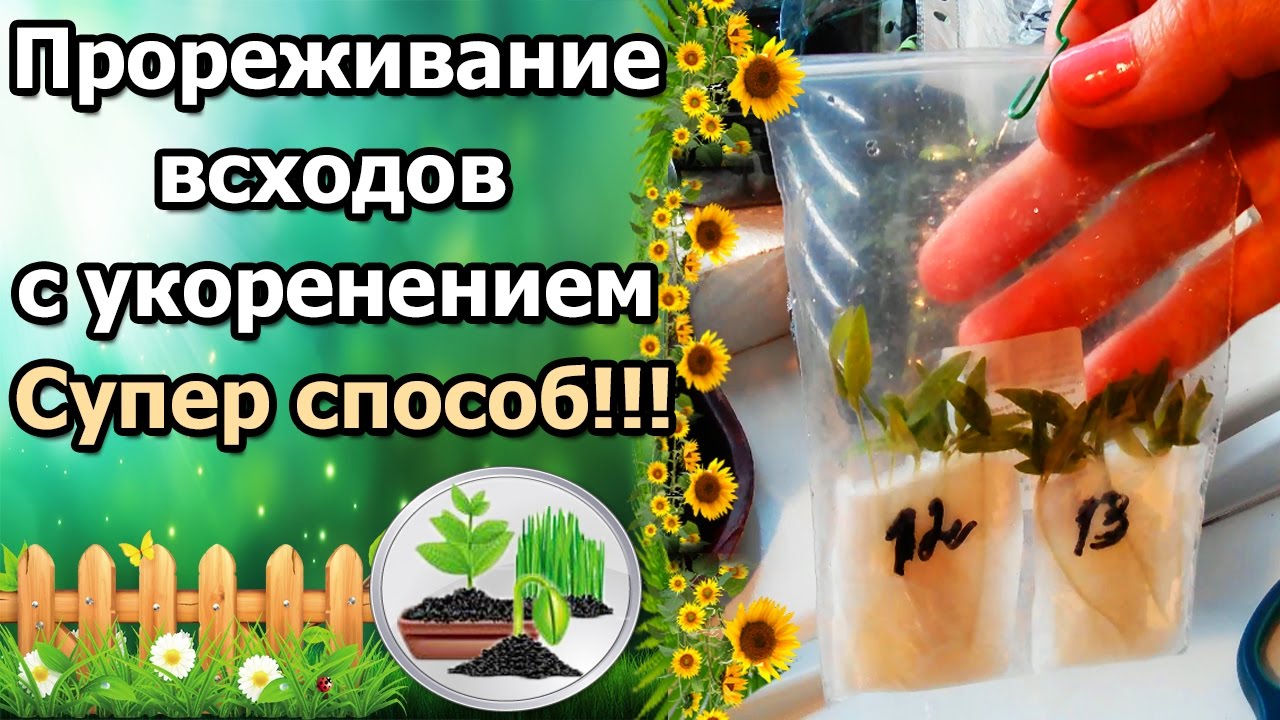 Нажмите, чтобы запустить видео