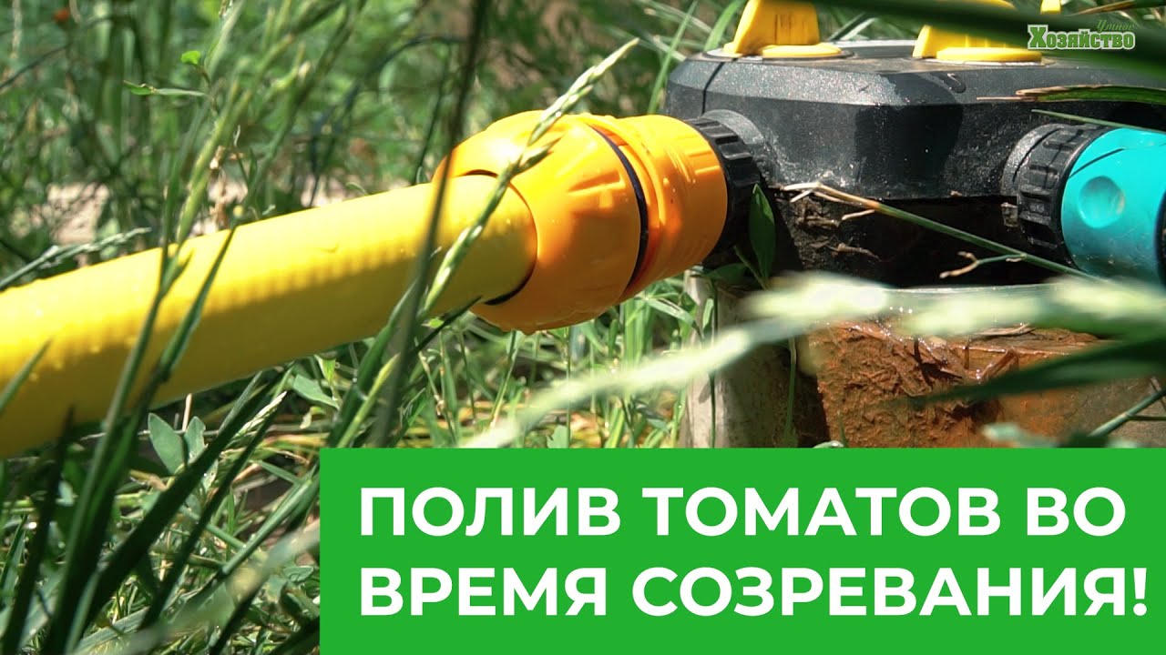 Нажмите, чтобы запустить видео