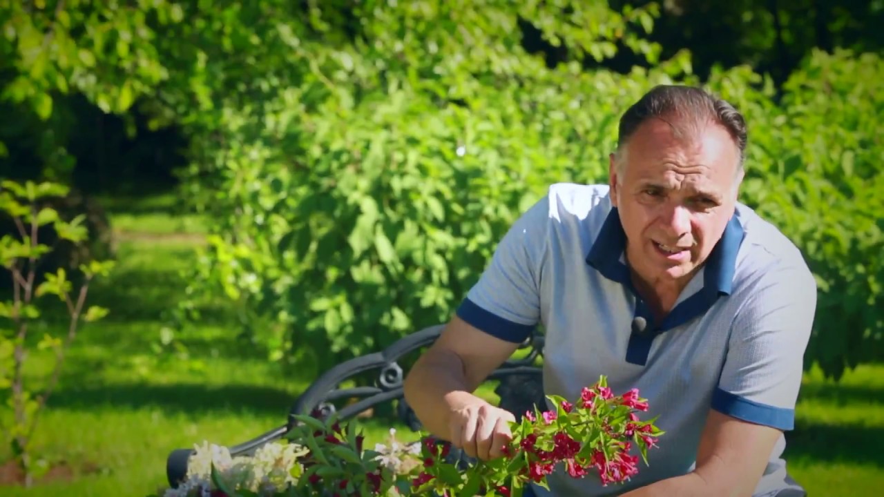 Нажмите, чтобы запустить видео