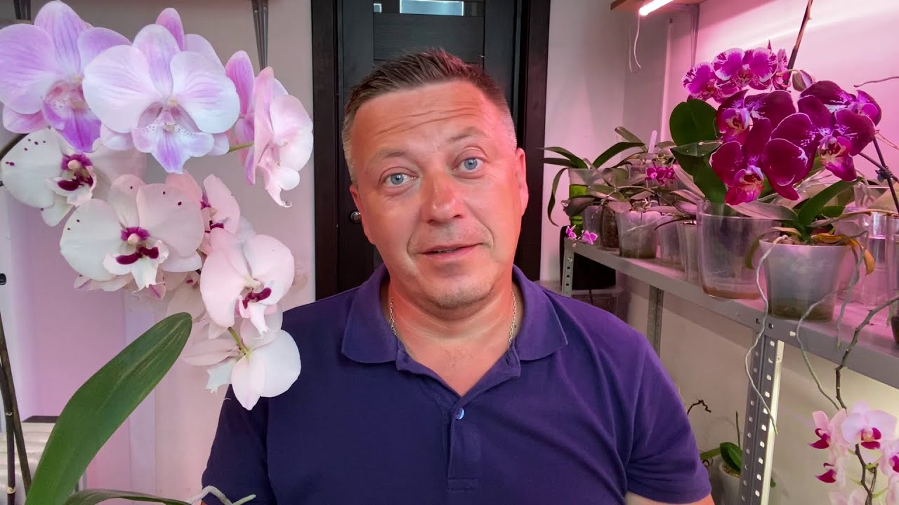 Нажмите, чтобы запустить видео