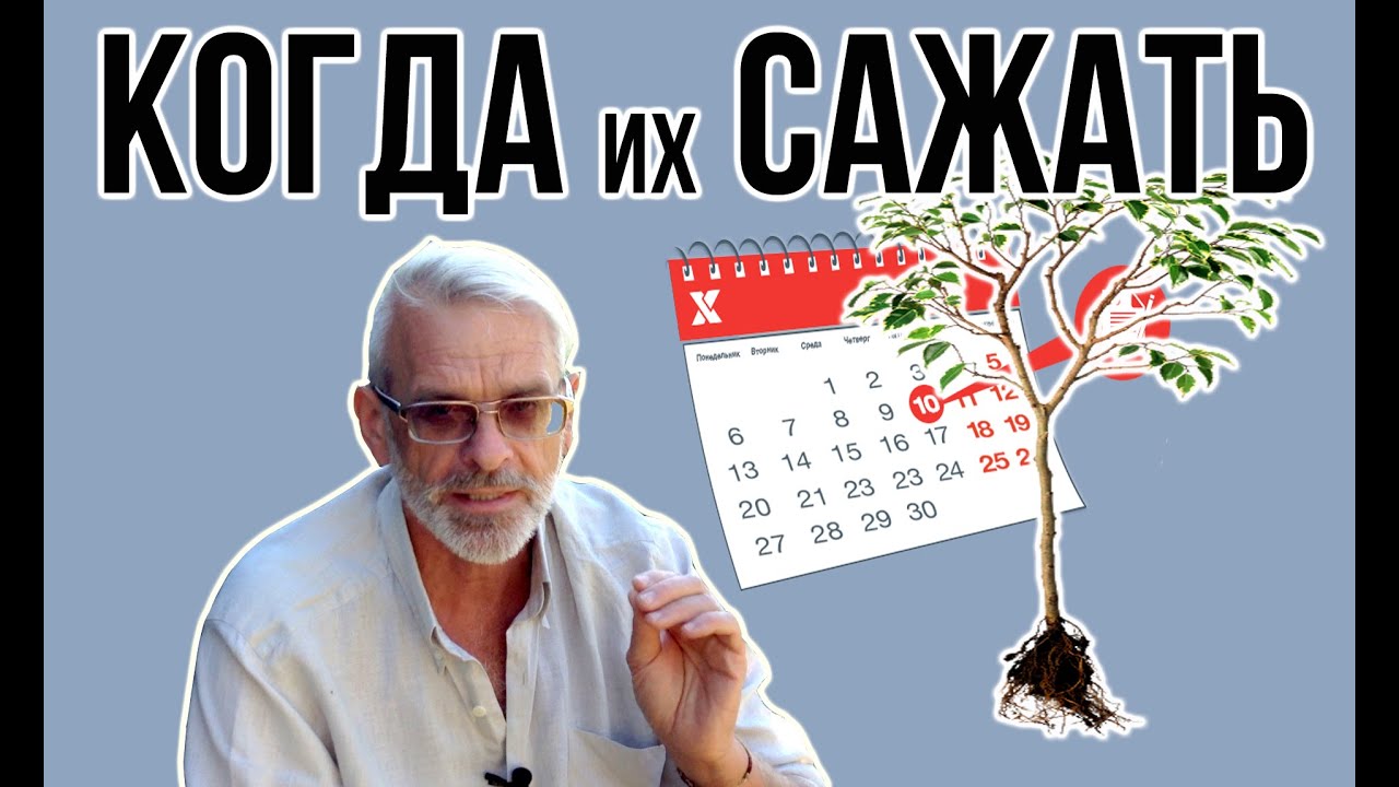 Нажмите, чтобы запустить видео