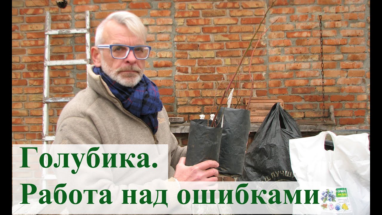 Нажмите, чтобы запустить видео