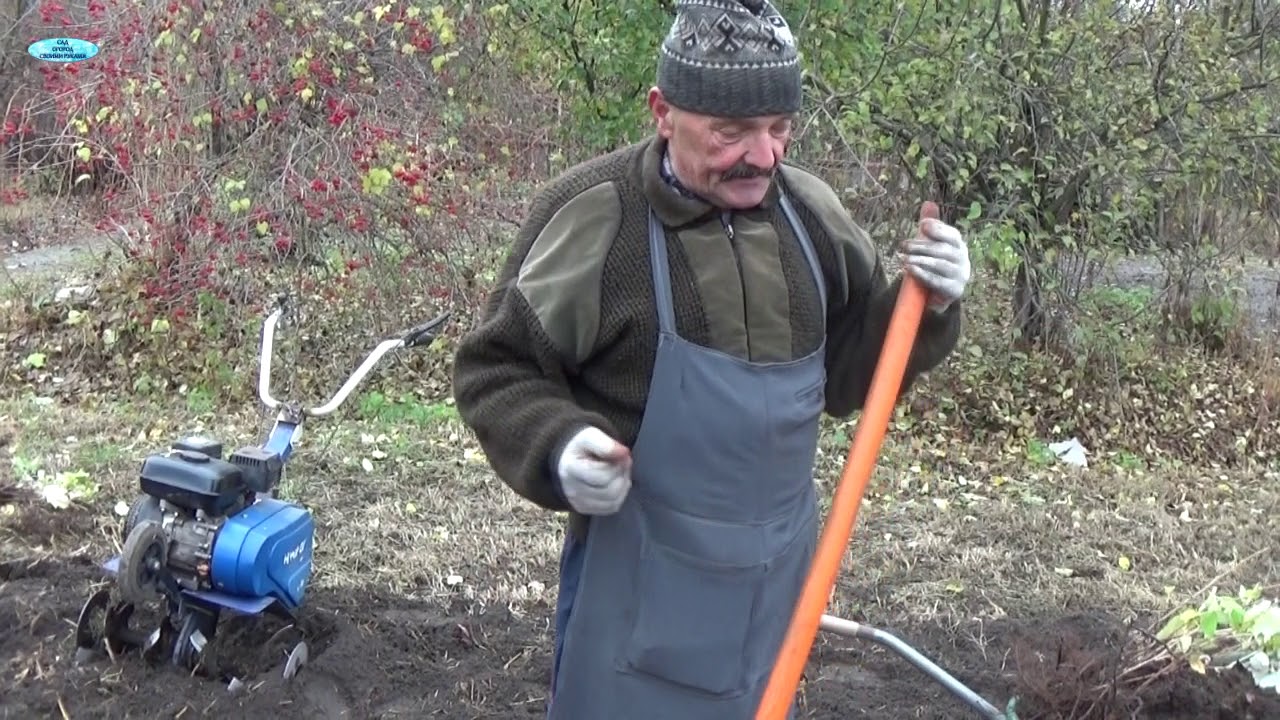Нажмите, чтобы запустить видео