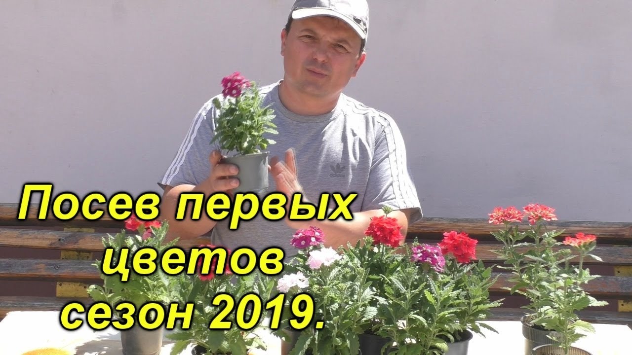 Нажмите, чтобы запустить видео
