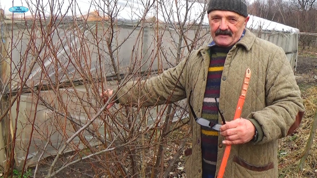 Нажмите, чтобы запустить видео