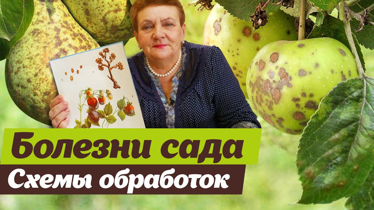 Нажмите, чтобы запустить видео