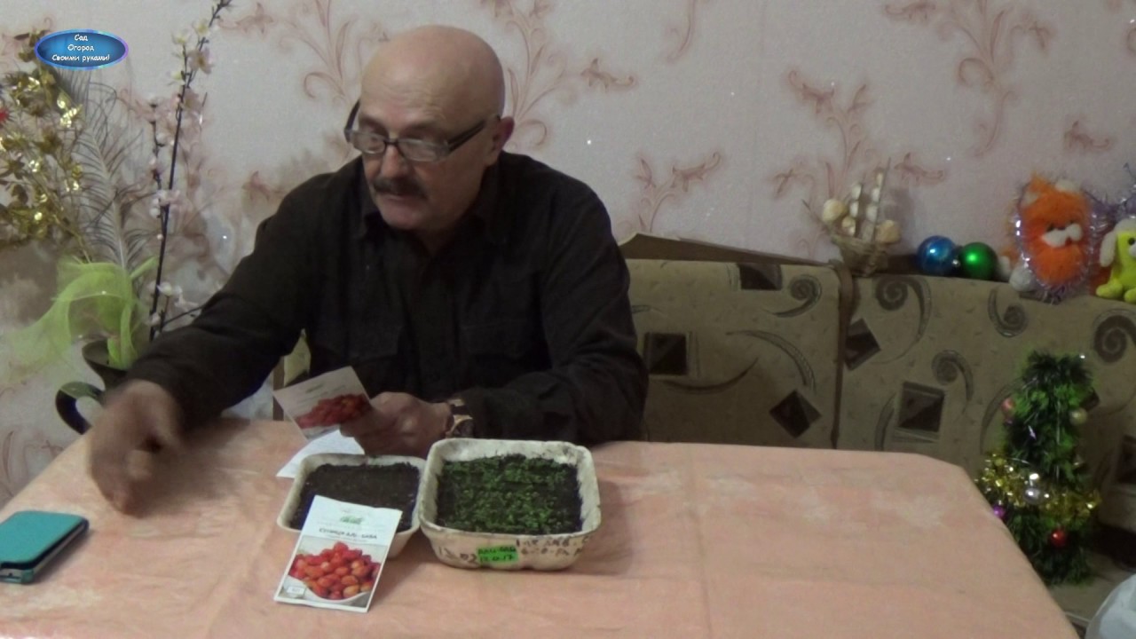 Нажмите, чтобы запустить видео