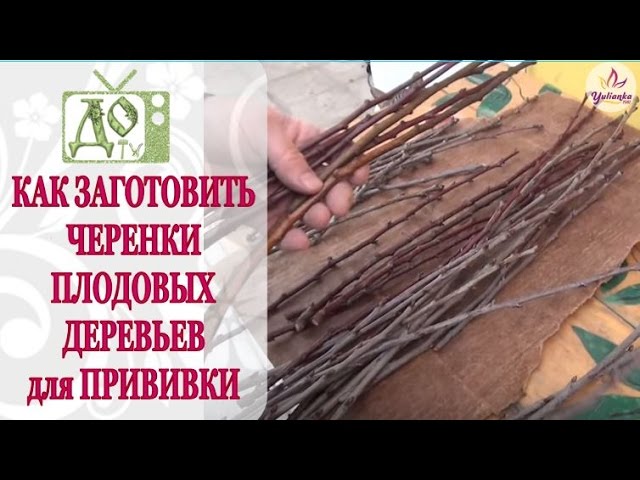 Нажмите, чтобы запустить видео