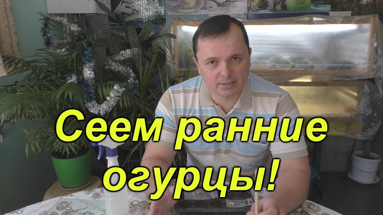 Нажмите, чтобы запустить видео