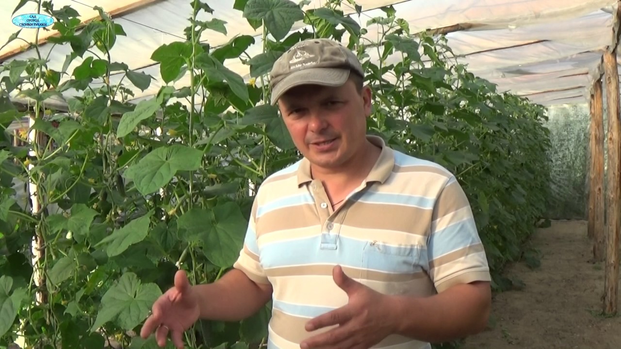 Нажмите, чтобы запустить видео