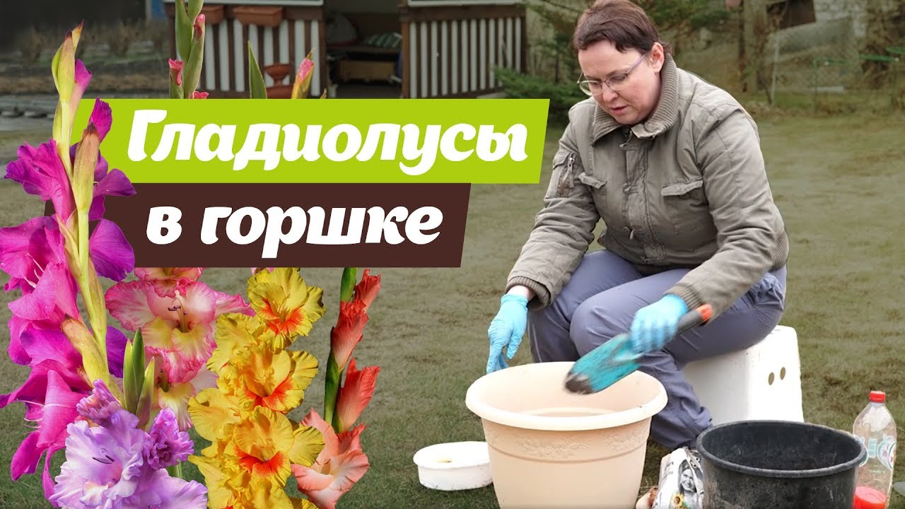 Нажмите, чтобы запустить видео