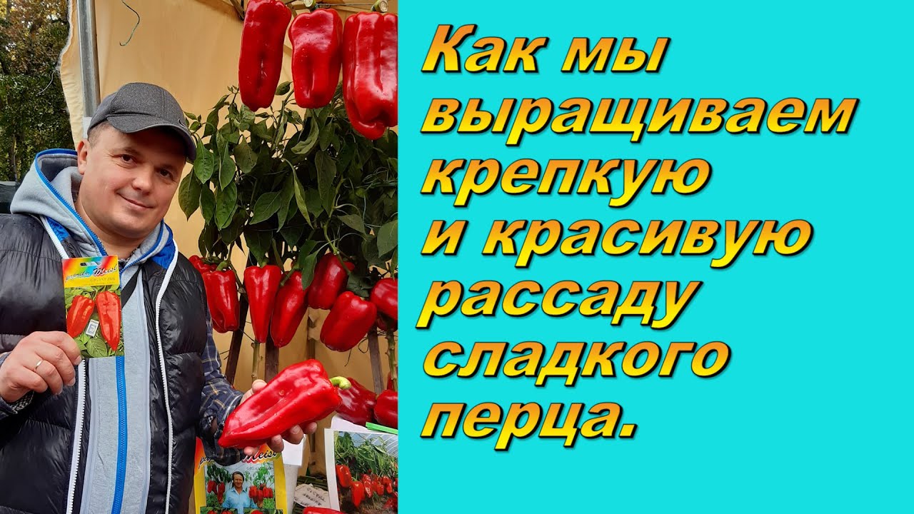 Нажмите, чтобы запустить видео