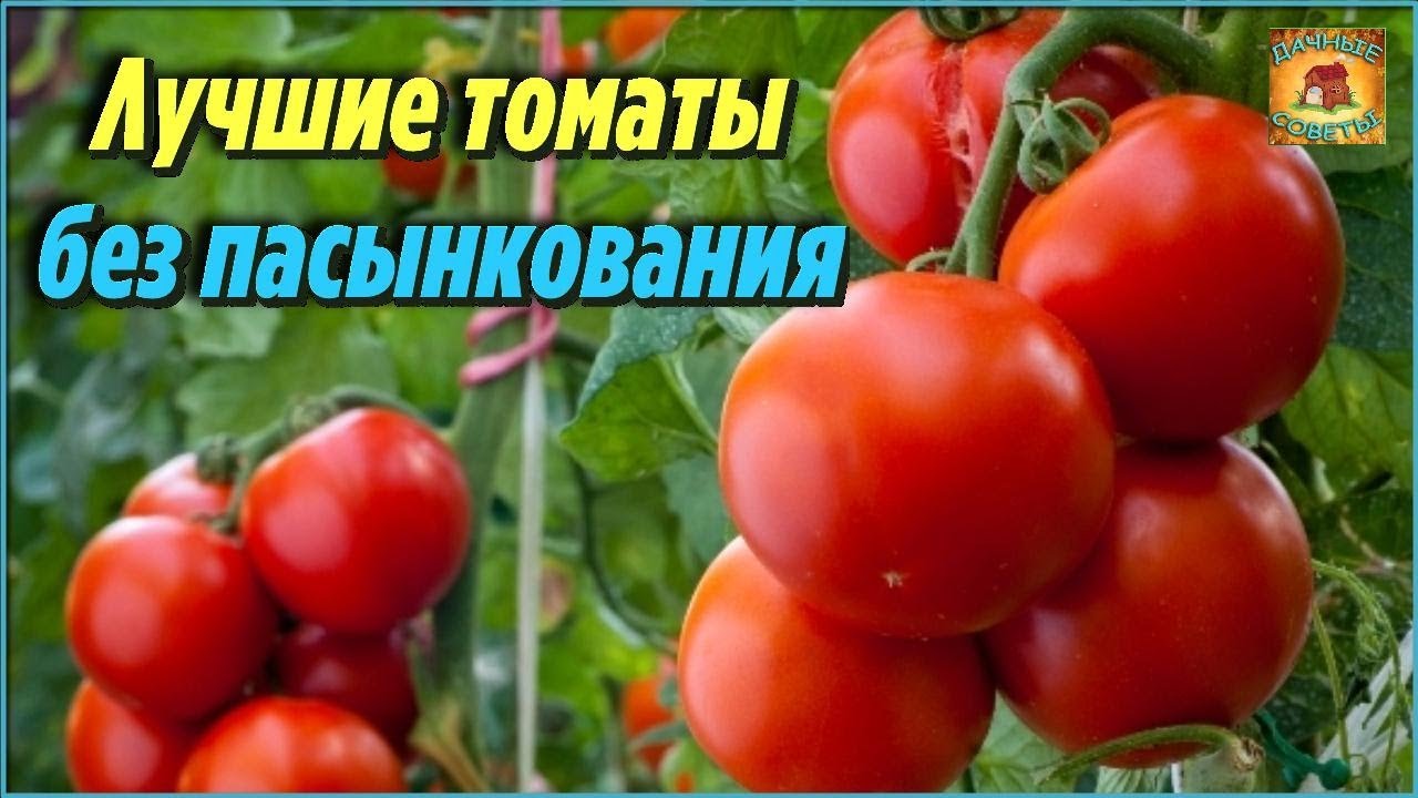 Нажмите, чтобы запустить видео