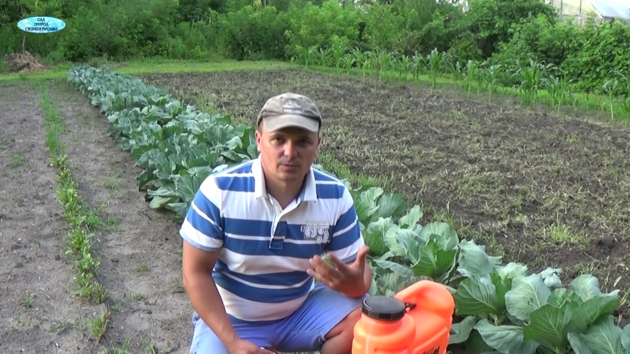 Нажмите, чтобы запустить видео