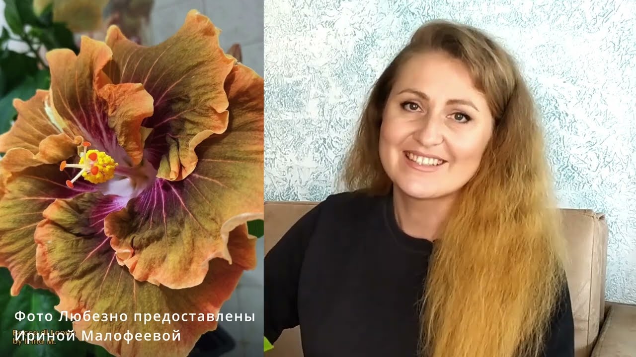 Нажмите, чтобы запустить видео