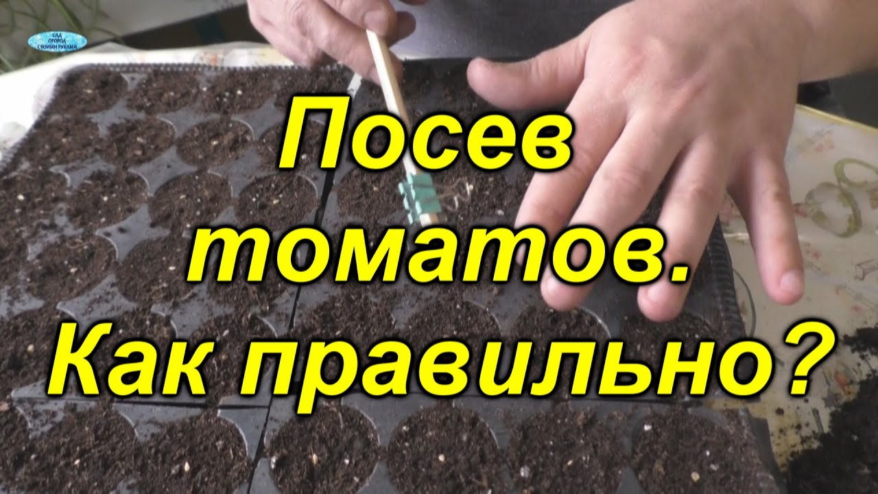 Нажмите, чтобы запустить видео
