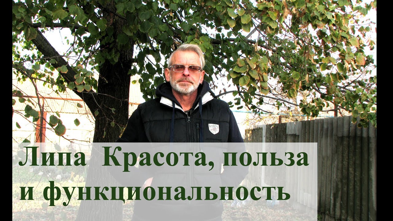 Нажмите, чтобы запустить видео