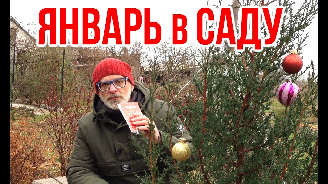 Нажмите, чтобы запустить видео