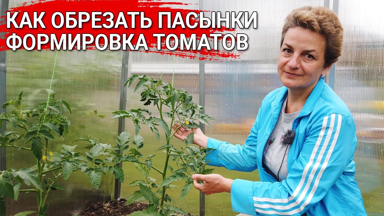Нажмите, чтобы запустить видео
