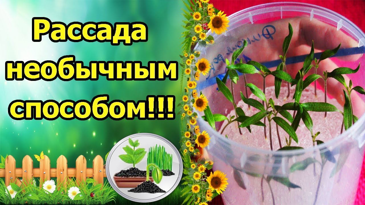 Нажмите, чтобы запустить видео