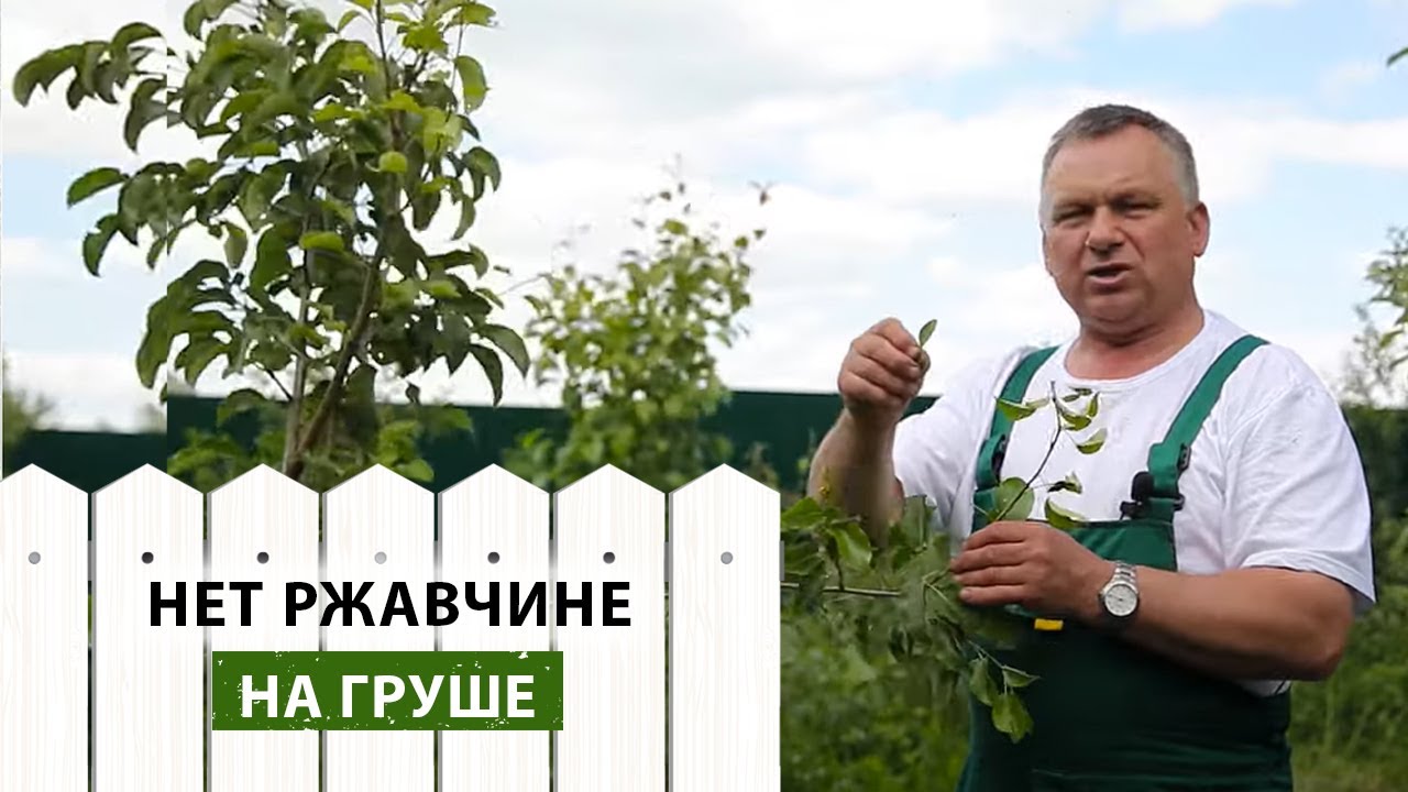 Нажмите, чтобы запустить видео