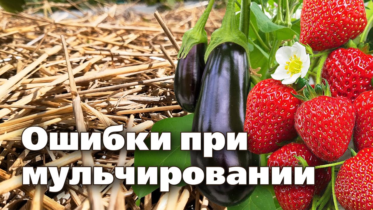 Нажмите, чтобы запустить видео