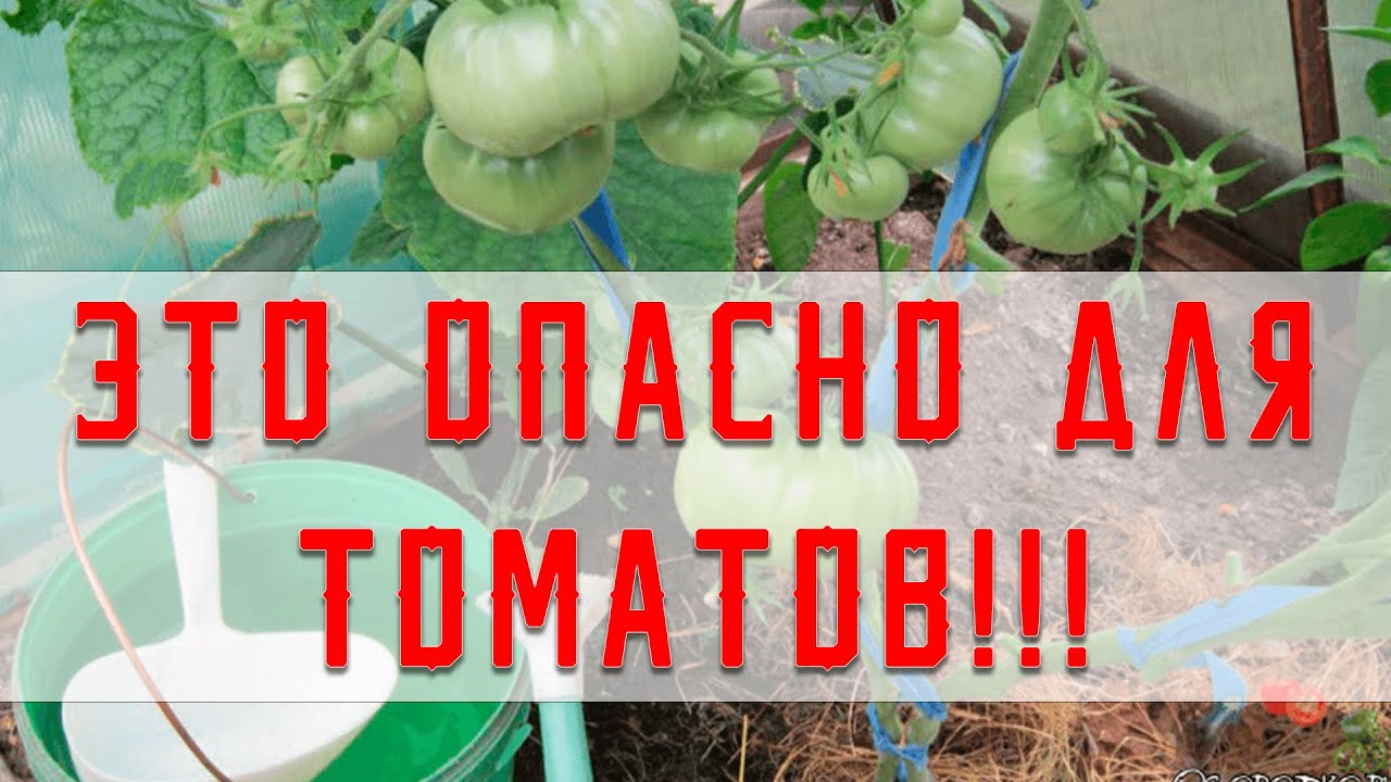 Нажмите, чтобы запустить видео