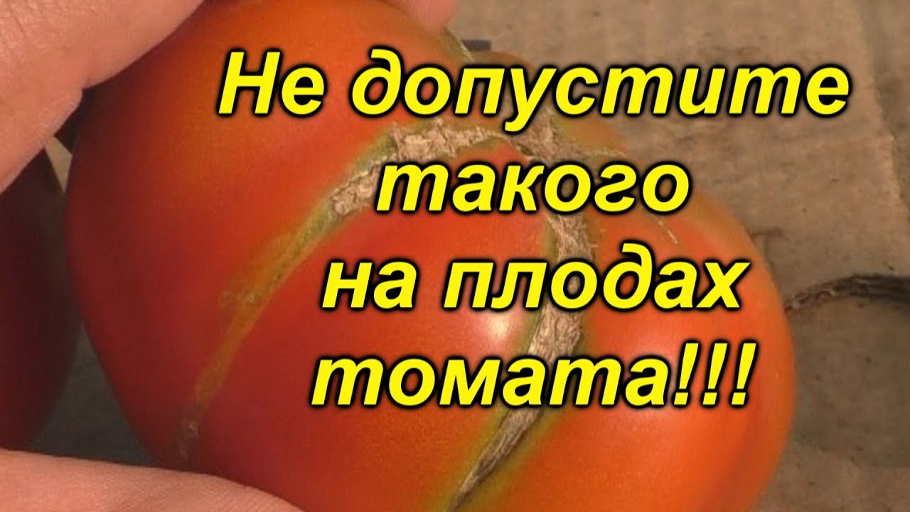 Нажмите, чтобы запустить видео