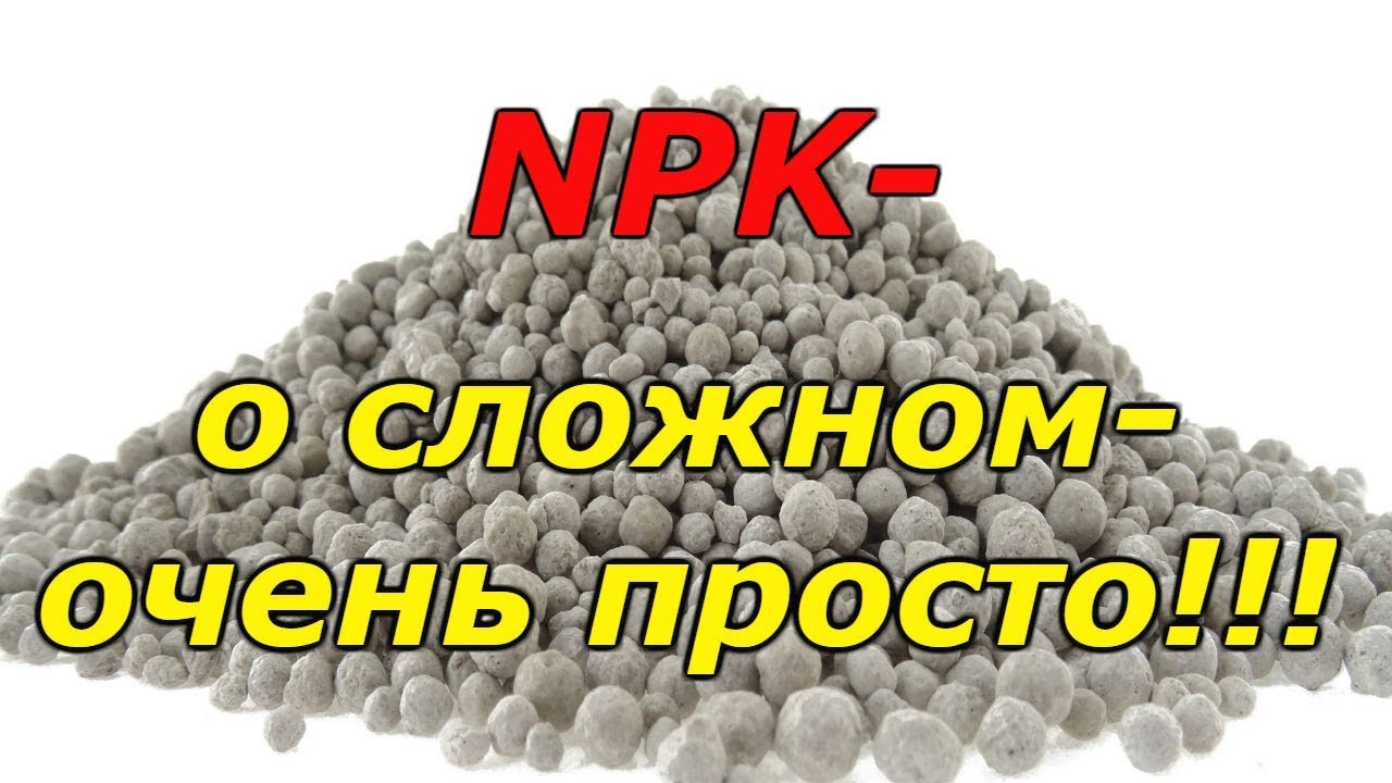 Нажмите, чтобы запустить видео