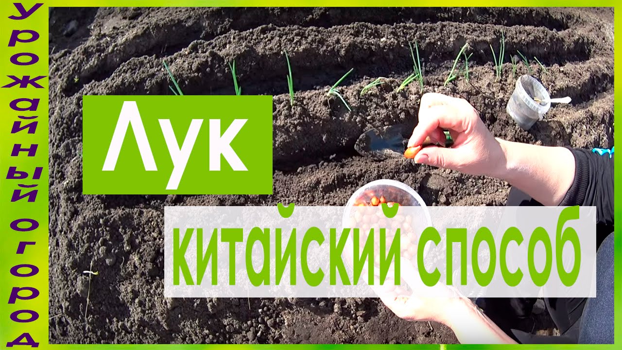 Нажмите, чтобы запустить видео