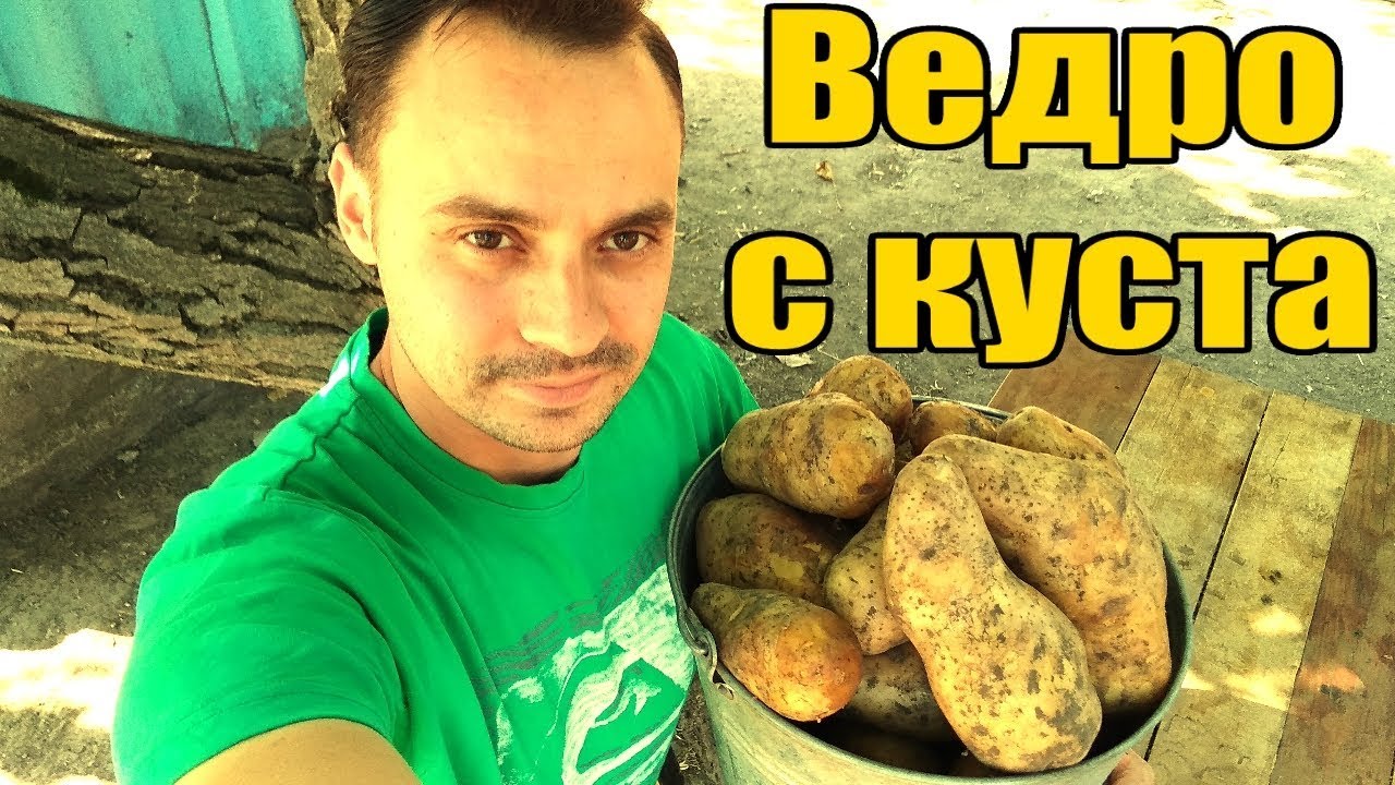 Нажмите, чтобы запустить видео