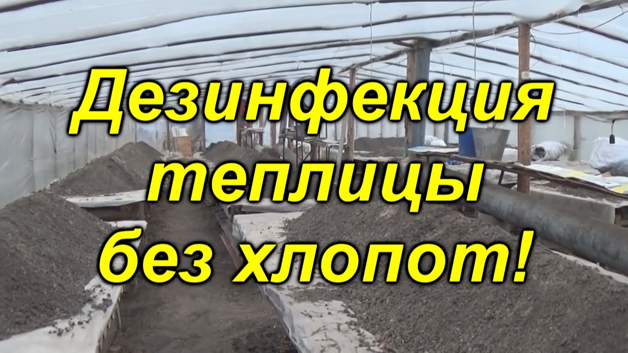 Нажмите, чтобы запустить видео