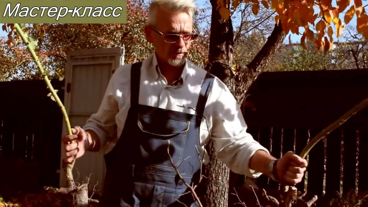 Нажмите, чтобы запустить видео