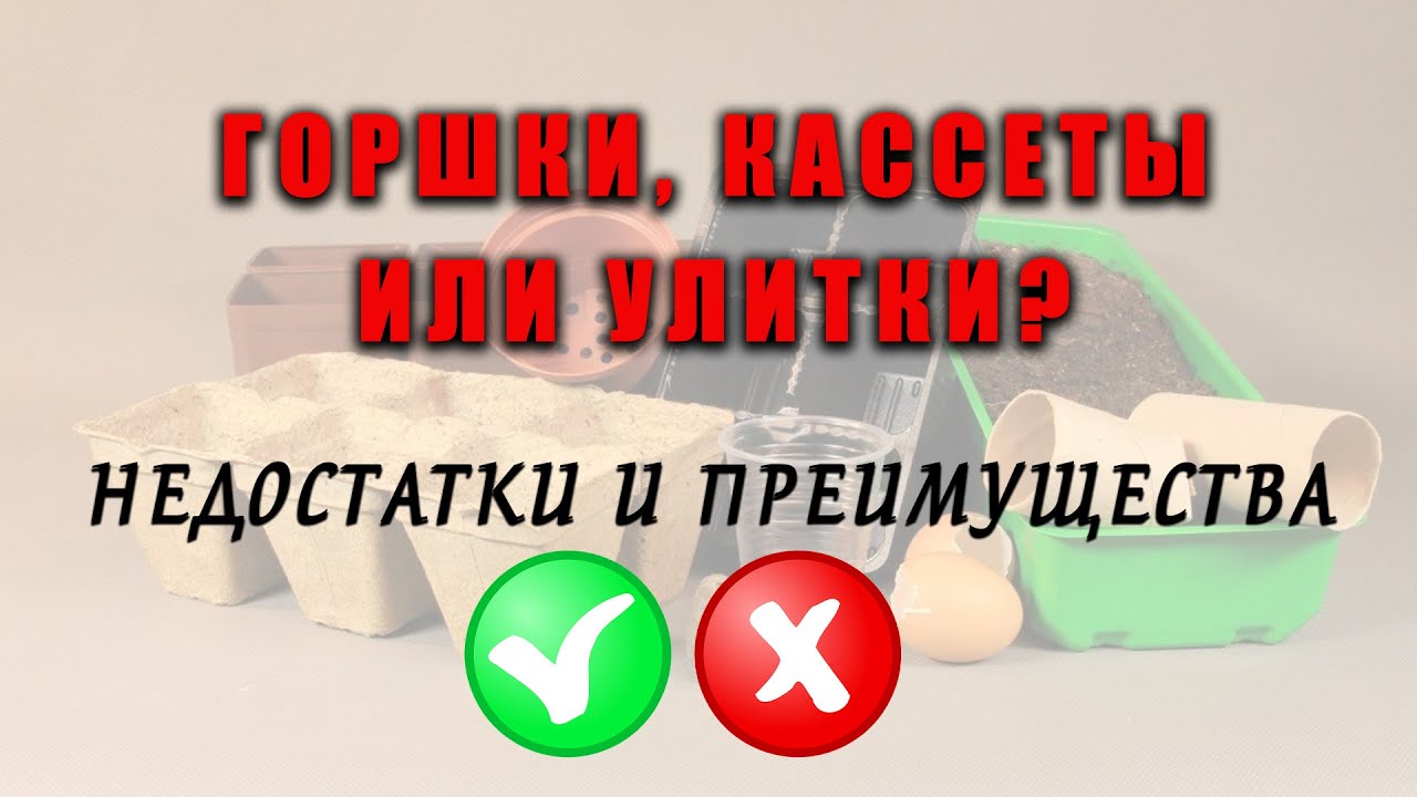 Нажмите, чтобы запустить видео